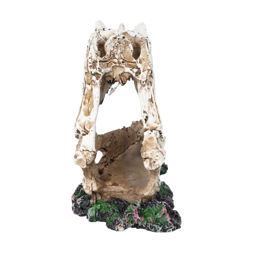 ProRep Resin Ceratosuarus Skull