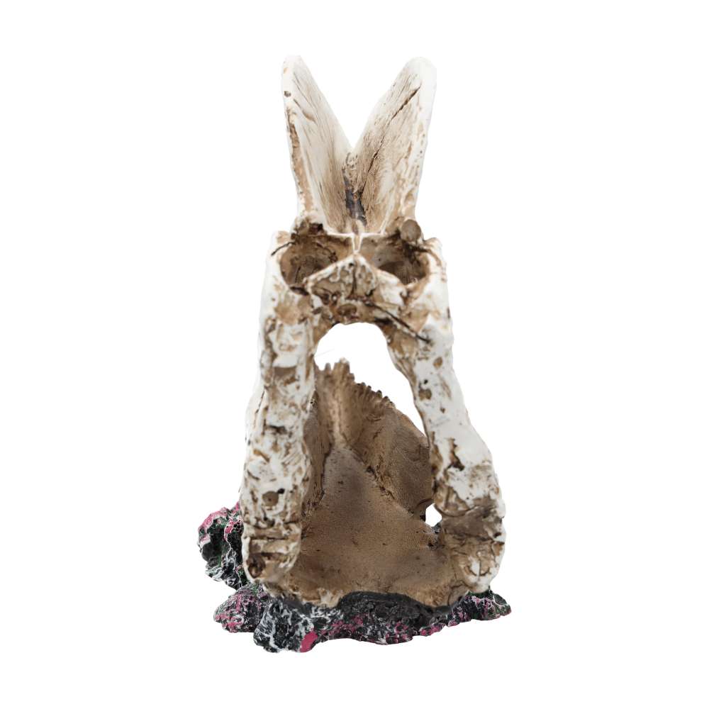 ProRep Resin Dilophosaurus Skull