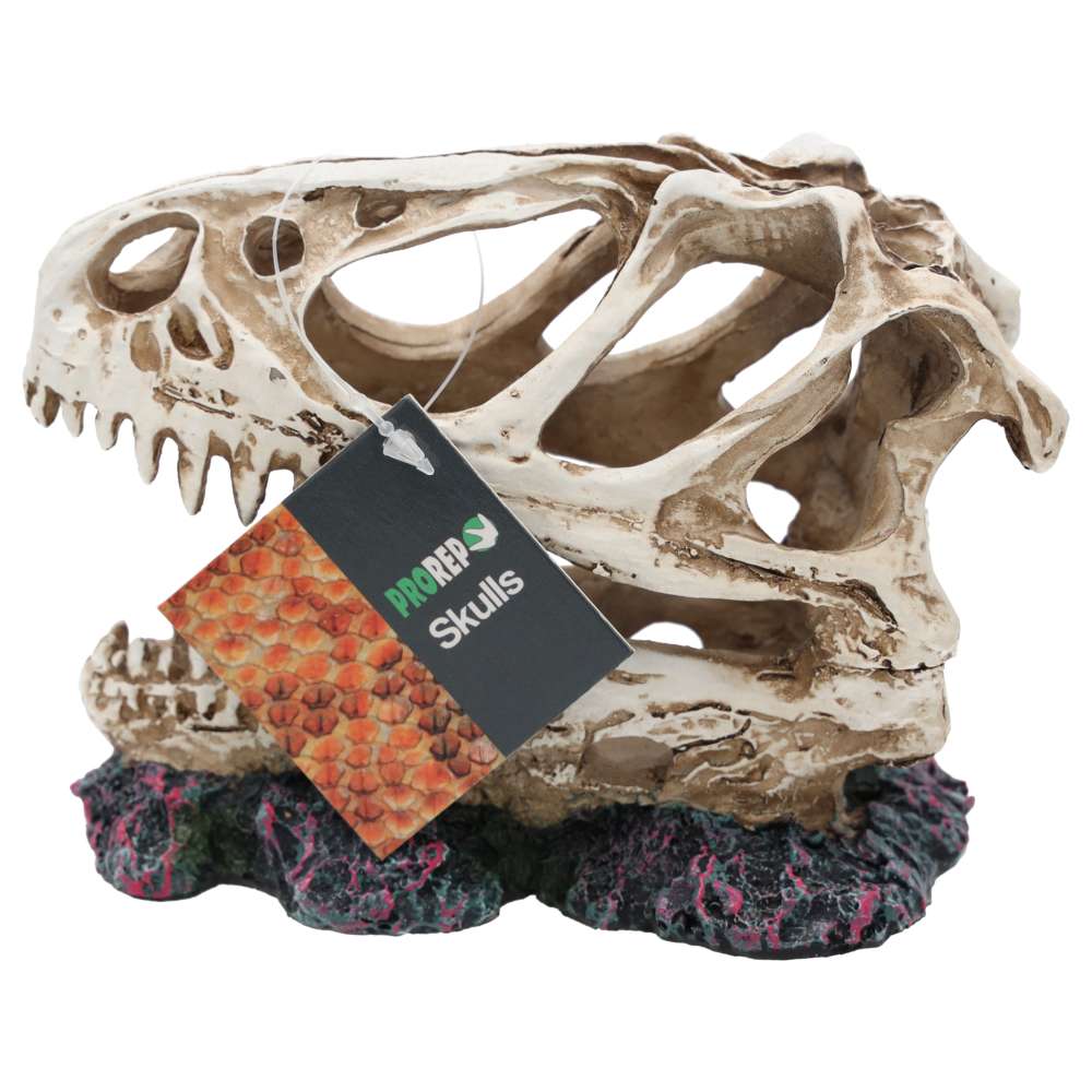 ProRep Resin Allosaurus Skull