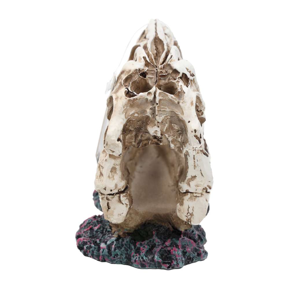 ProRep Resin Allosaurus Skull