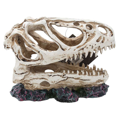 ProRep Resin Allosaurus Skull