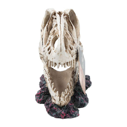 ProRep Resin Allosaurus Skull