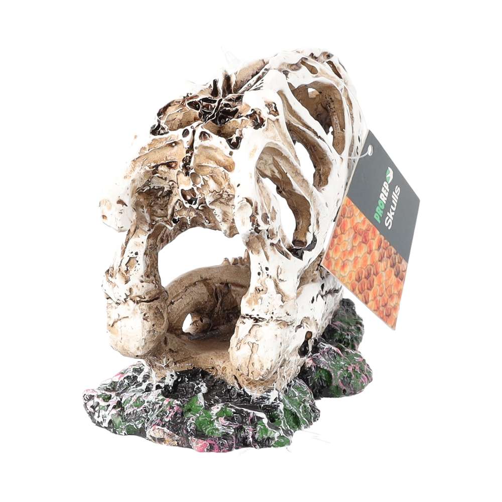 ProRep Resin Allosaurus Skull