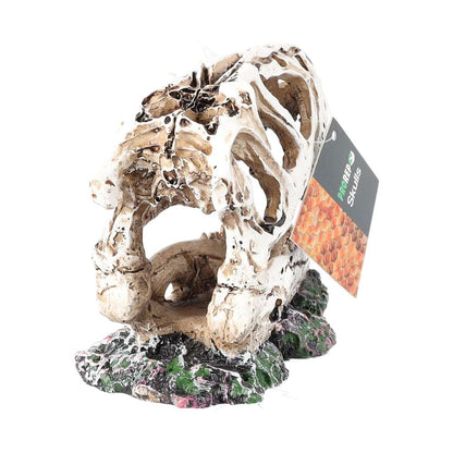 ProRep Resin Allosaurus Skull