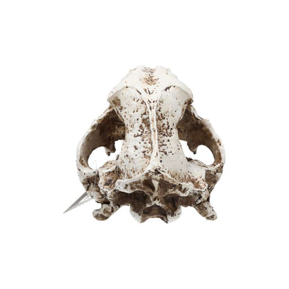 Artificial Smilodon Skull Aquarium Décor Large 26.5x14.5x15.5cm