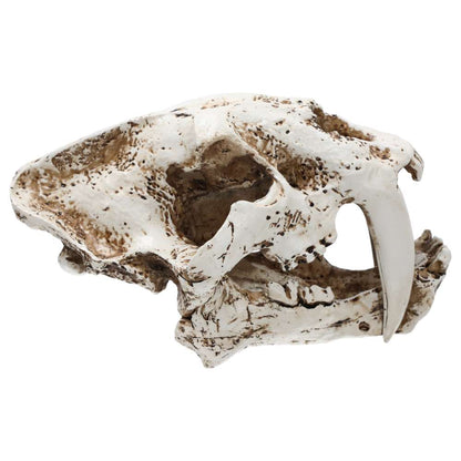 Artificial Smilodon Skull Aquarium Décor Large 26.5x14.5x15.5cm