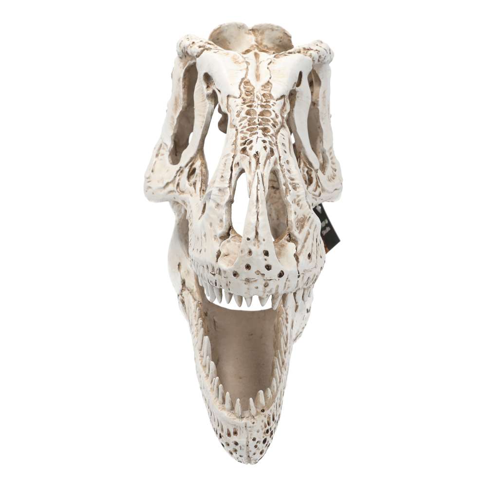 XL T-Rex Skull Aquarium Ornament 38.5x18x28cm | Fish Tank Décor
