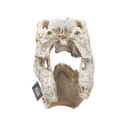 ProRep XL T-Rex Skull