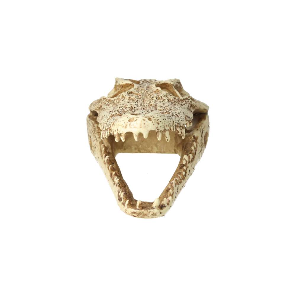 ProRep Resin Crocodile Skull