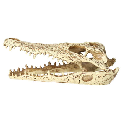 ProRep Resin Crocodile Skull