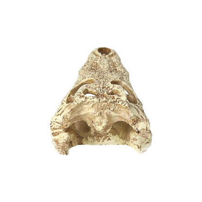 ProRep Resin Crocodile Skull