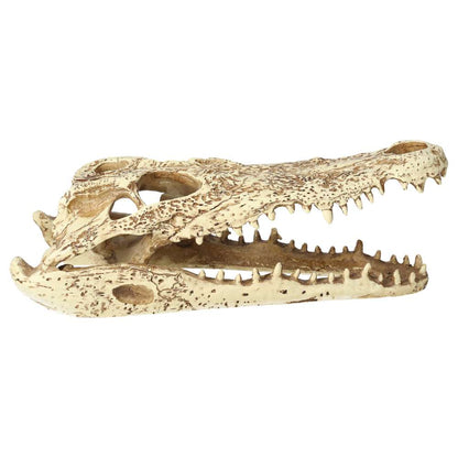 ProRep Resin Crocodile Skull