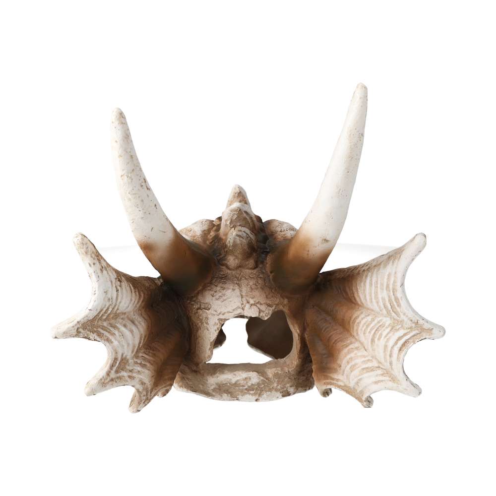Large Dragon Skull Aquarium Ornament 28.5x21.5x19.5cm