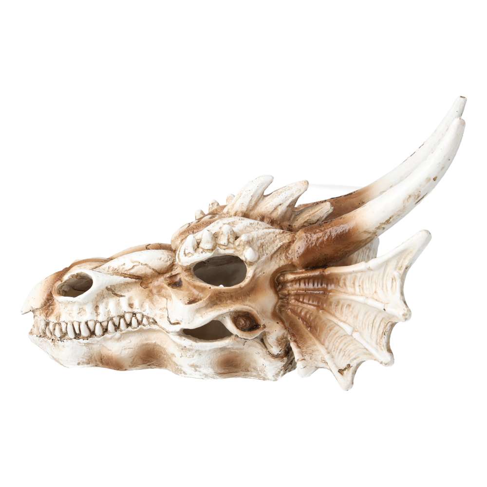 ProRep Resin Dragon Skull