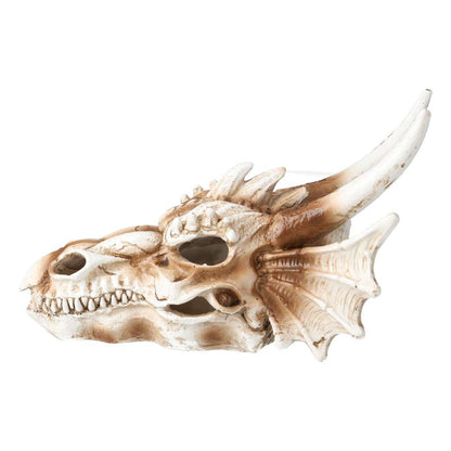 ProRep Resin Dragon Skull