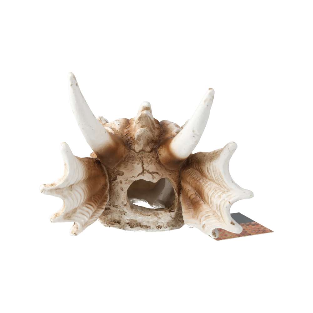 ProRep Resin Dragon Skull