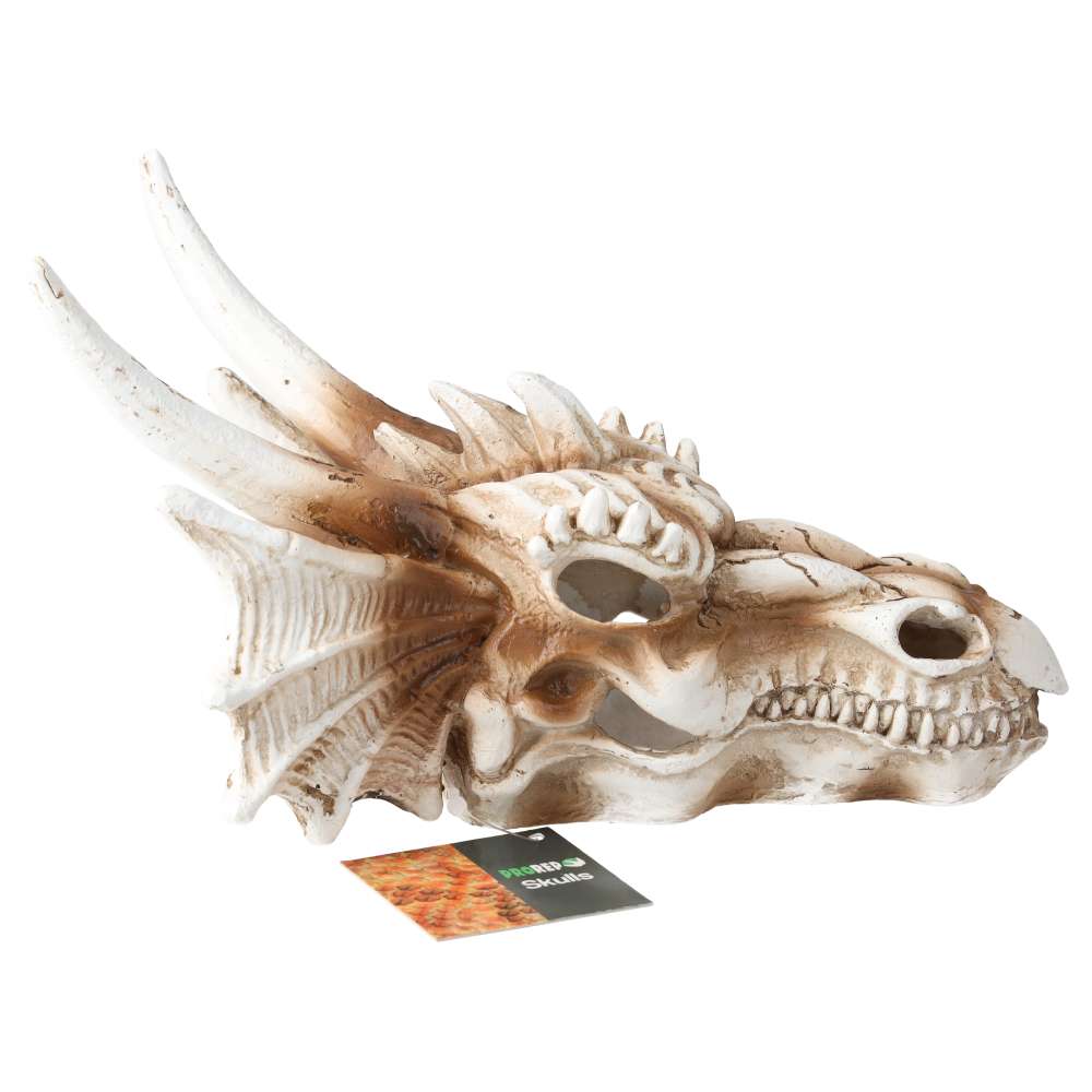 ProRep Resin Dragon Skull