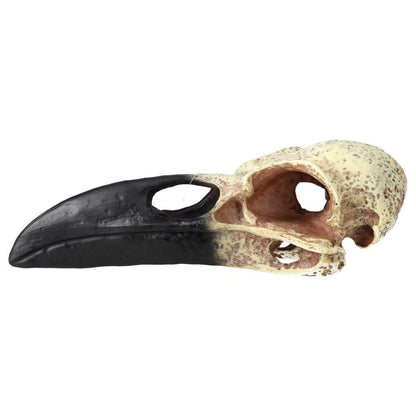 ProRep Resin Corvid Skull