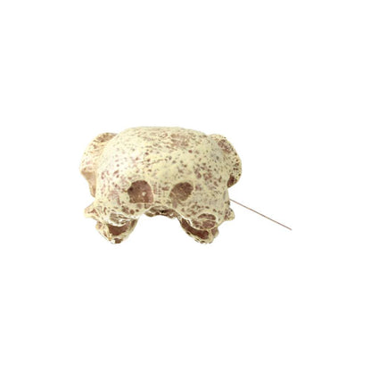 ProRep Resin Corvid Skull