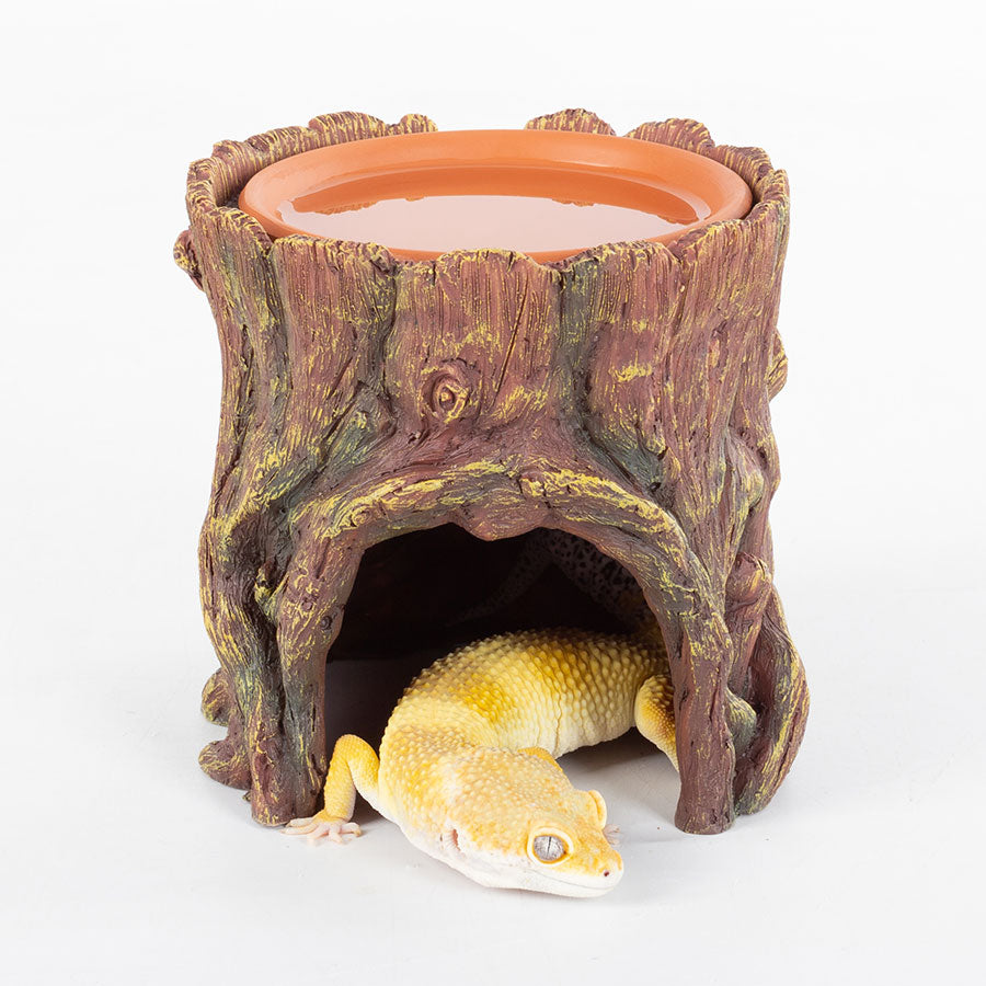ReptiZoo Humid Tree Stump Hideout and Dish | Reptile Vivarium Hide