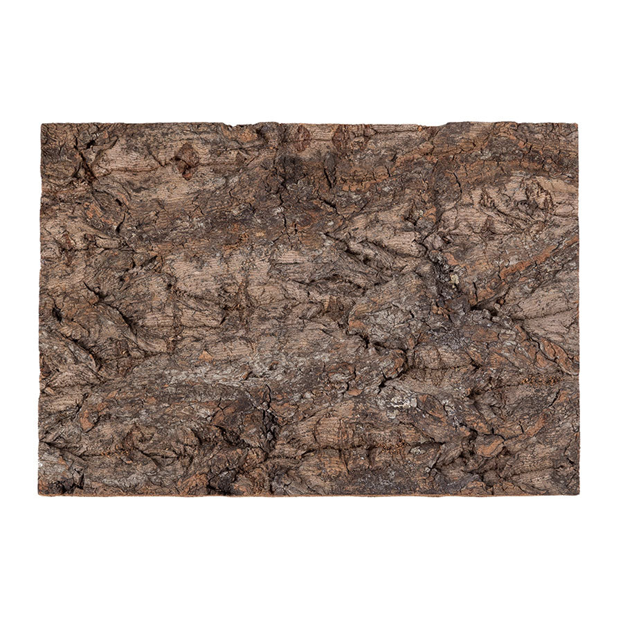 ReptiZoo Natural Cork Tile Background 20x30cm – Vivarium Decor