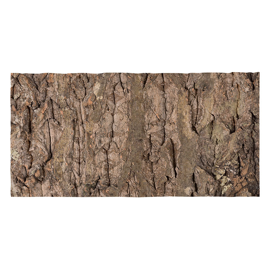 ReptiZoo Natural Cork Tile Background 30x15cm – Vivarium Decor