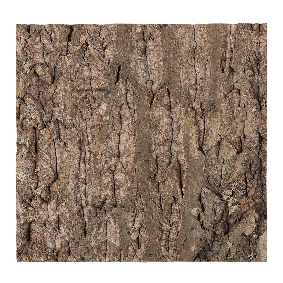 ReptiZoo Natural Cork Tile Background 30x30cm – Vivarium Decor