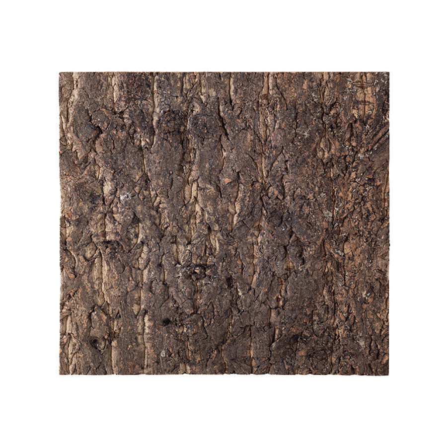 ReptiZoo Natural Cork Tile Background 45x45cm | Vivarium Decor