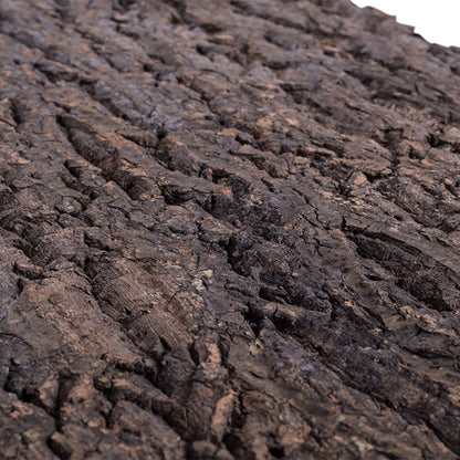 ReptiZoo Natural Cork Tile Background for Vivariums – 45x60cm
