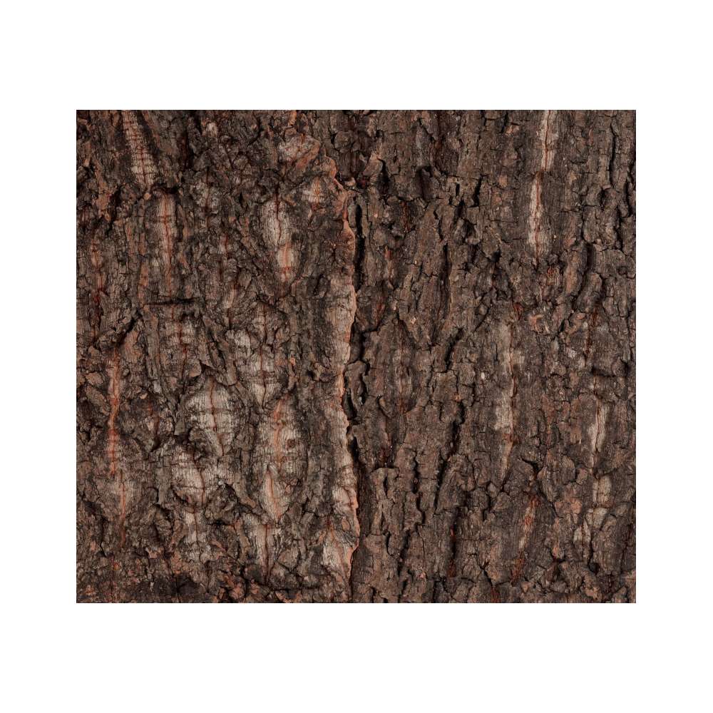 ReptiZoo Natural Cork Tile Background 44x86cm | NCT24
