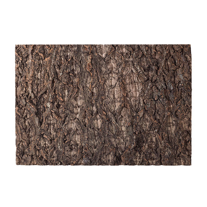 ReptiZoo Natural Cork Tile Background 60x45cm – Vivarium Decor