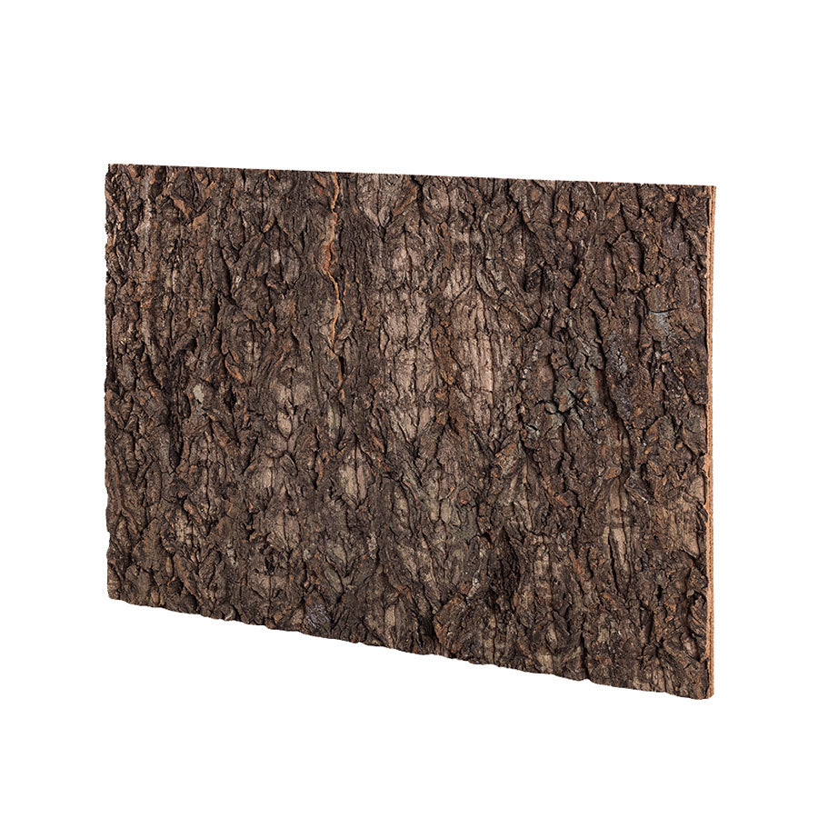 ReptiZoo Natural Cork Tile Background 60x45cm – Vivarium Decor