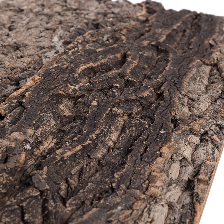 ReptiZoo Natural Cork Tile Background 60x45cm – Vivarium Decor