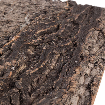 ReptiZoo Natural Cork Tile Background 60x45cm – Vivarium Decor