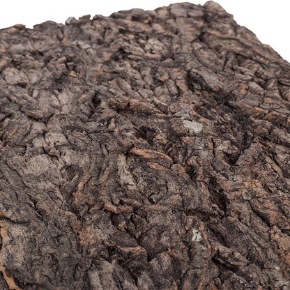 ReptiZoo Natural Cork Tile Background 60x45cm – Vivarium Decor