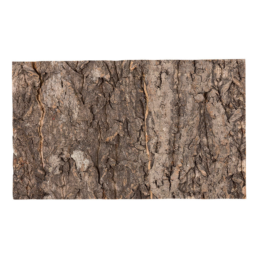 ReptiZoo Natural Cork Tile Background 60x45cm – Vivarium Decor
