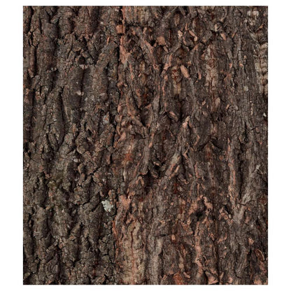 ReptiZoo Natural Cork Tile Background 60x60cm | NCT06