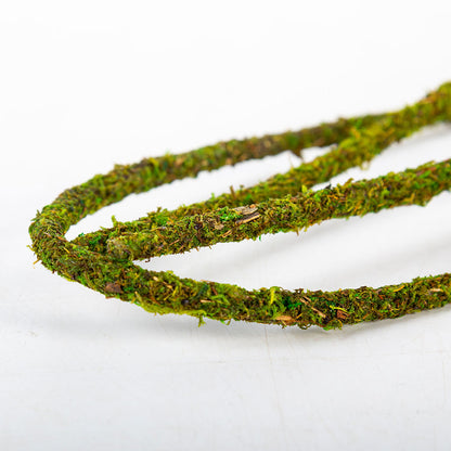 ReptiZoo Natural Moss Vine for Vivariums – 200cm x 1cm