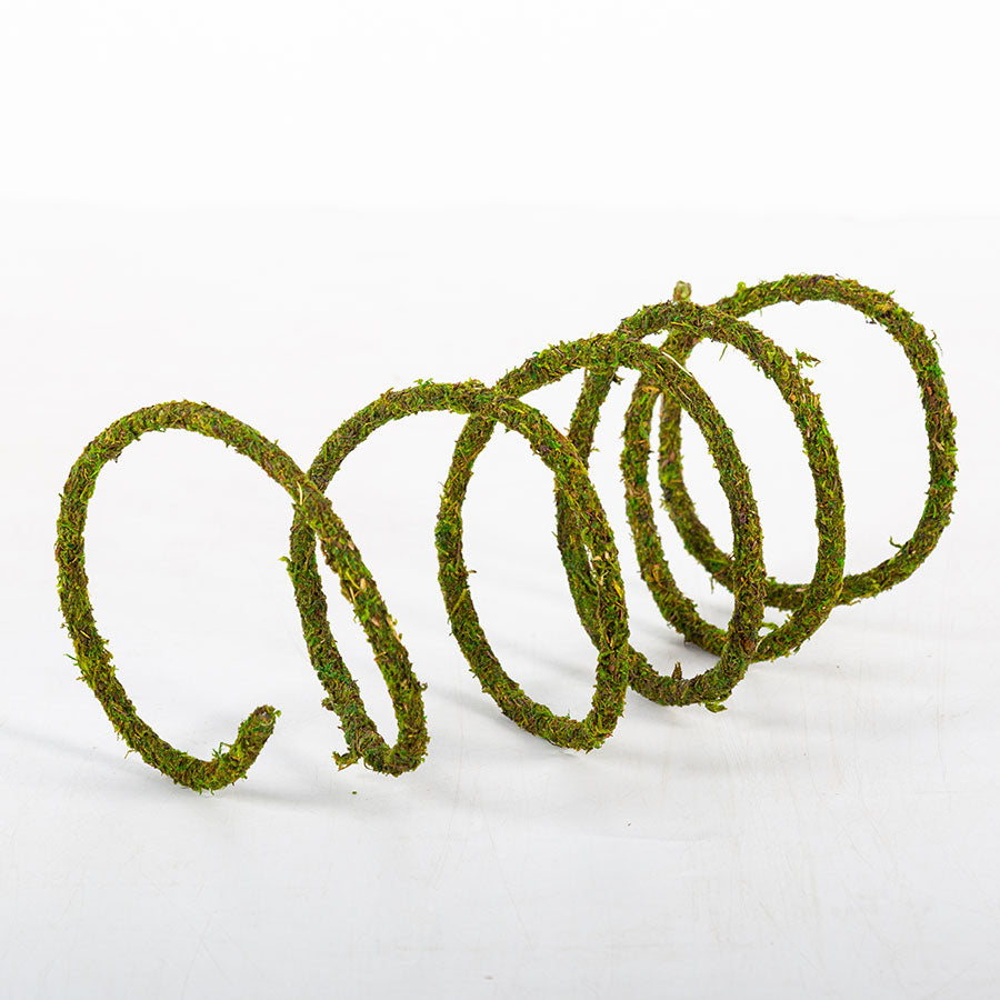 ReptiZoo Natural Moss Vine for Vivariums – 200cm x 1cm