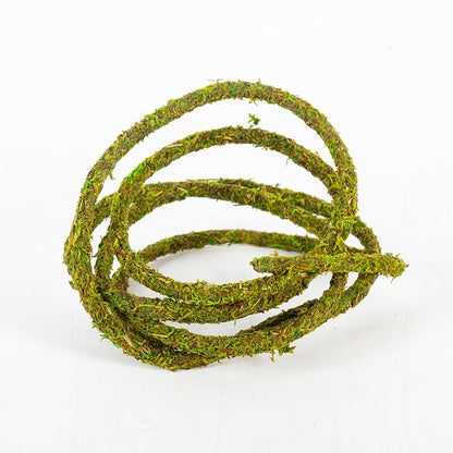 ReptiZoo Natural Moss Vine for Vivariums – 200cm x 1cm