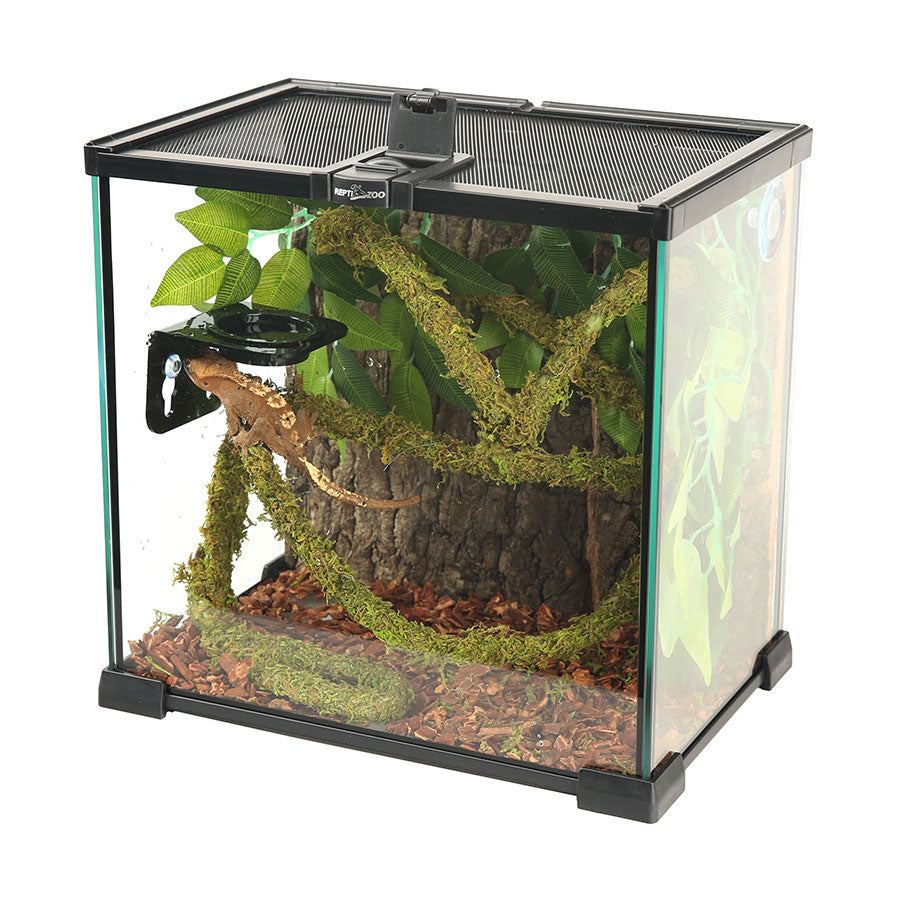 ReptiZoo Natural Moss Vine for Vivariums – 200cm x 1cm