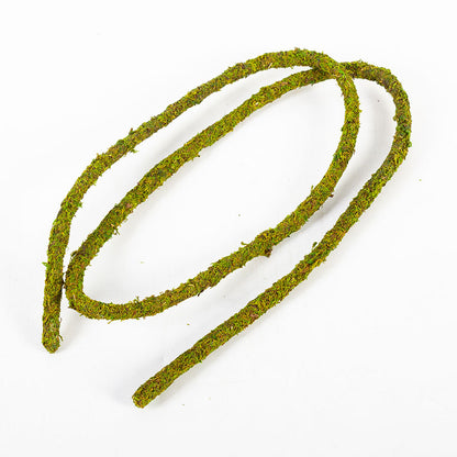 ReptiZoo Natural Moss Vine for Vivariums – 200cm x 1.5cm