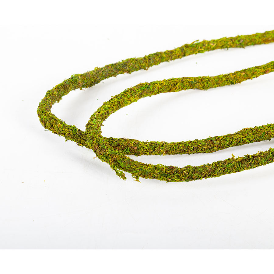 ReptiZoo Natural Moss Vine for Vivariums – 200cm x 1.5cm