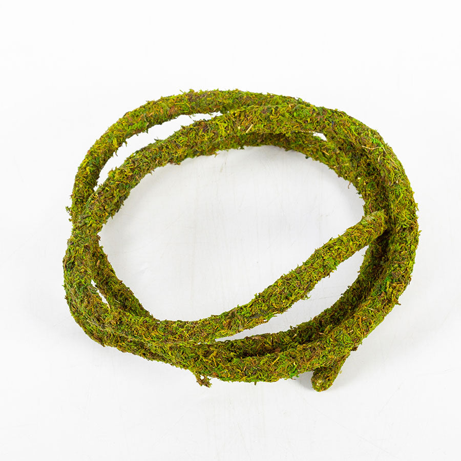 ReptiZoo Natural Moss Vine for Vivariums – 200cm x 1.5cm