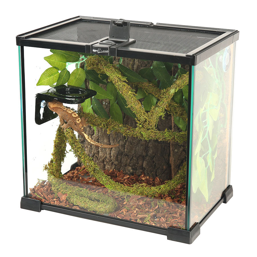ReptiZoo Natural Moss Vine for Vivariums – 200cm x 1.5cm