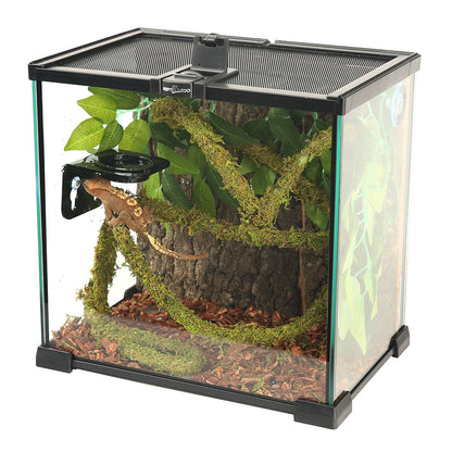 ReptiZoo Natural Moss Vine for Vivariums – 200cm x 1.5cm