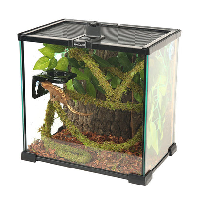 ReptiZoo Natural Moss Vine for Vivariums – 200cm x 2cm