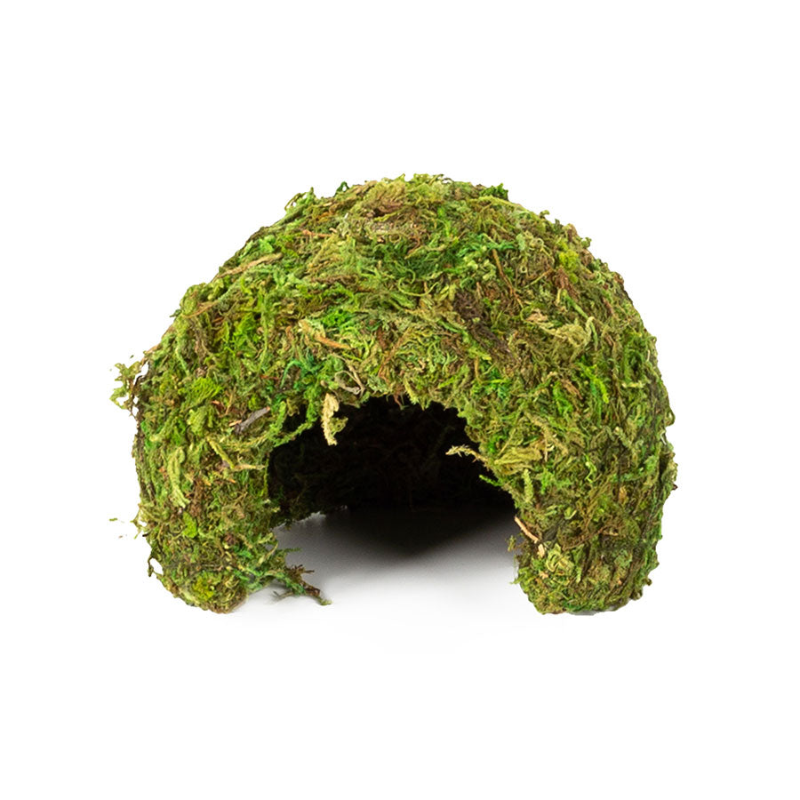 ReptiZoo Natural Moss Dome Hide – Small (11x11x9cm)