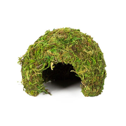 ReptiZoo Natural Moss Dome