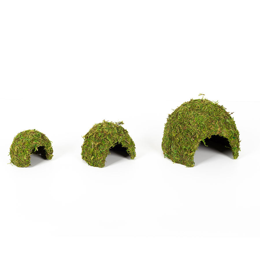 ReptiZoo Natural Moss Dome Hide – Small (11x11x9cm)